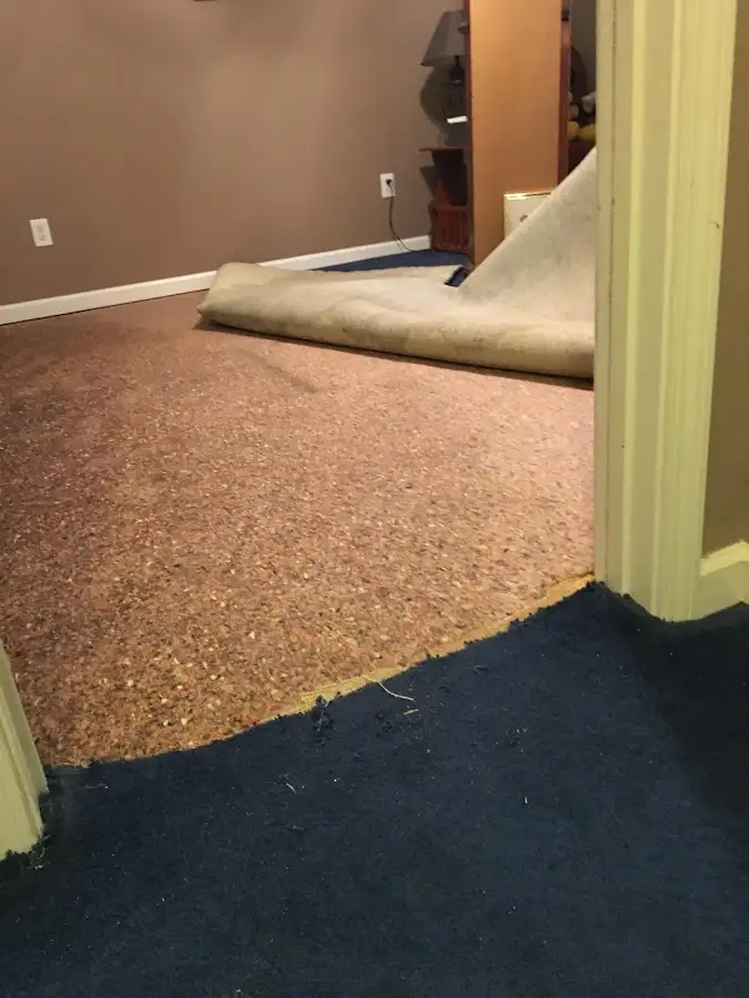 Carpet pad removal revealing water damage during Water Mitigation Services in Catalina Foothills